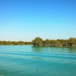 Mangrove Forests of Qeshm 7 وبلاگ