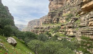 شیرز لرستان: پرده‌برداری از گنجینه‌های پنهان سرزمینی با تاریخ کهن و زیبایی خیره‌کننده