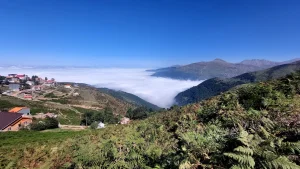 چشم‌انداز ۳۶۰ درجه از بام فیلبند در مازندران