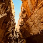 hatef-ardekanian-FPcDURu9ckY-unsplash