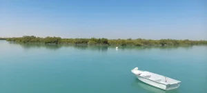 جنگل حرا قشم نزدیک روستای سهیلی