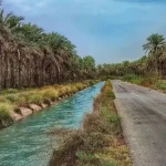بوشهرررر وبلاگ