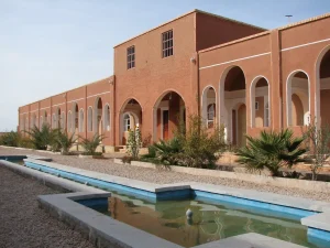 چشمه دکتر فیش در تور کویر مصر از مشهد