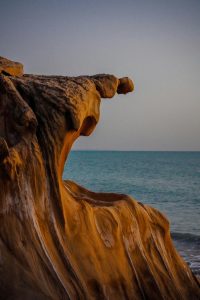 تور 7 روزه پارسیان نگین خلیج فارس